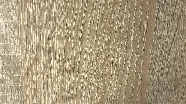 NoFace_Model webcam