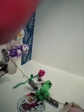 ToysRus24 webcam