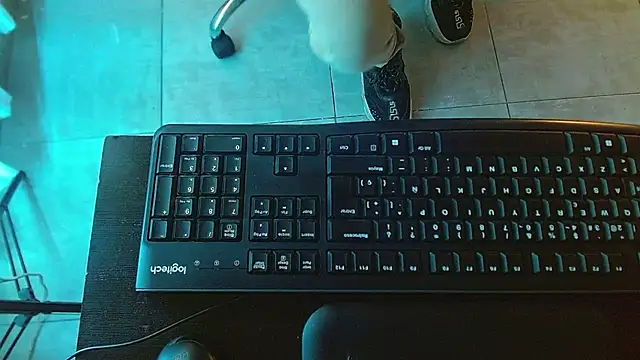 sasi_luna webcam