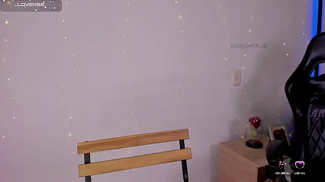 sussyprice webcam