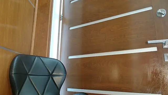 3littles webcam