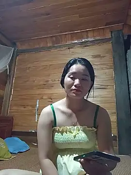 Td3di webcam