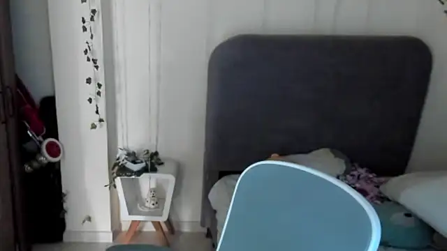 Felixzyn webcam