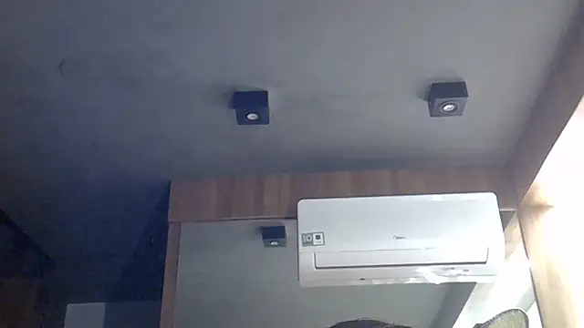 SkinnyKitten webcam