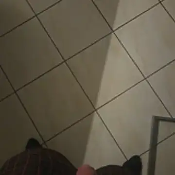 Zauberstab8 webcam