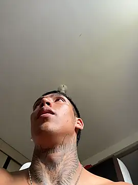 sendfer webcam