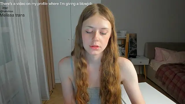 hakulissa webcam