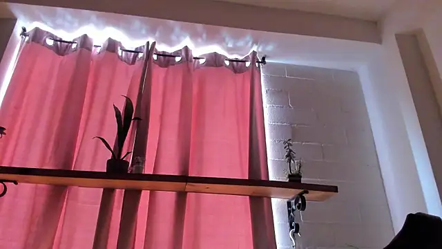 Theevae webcam