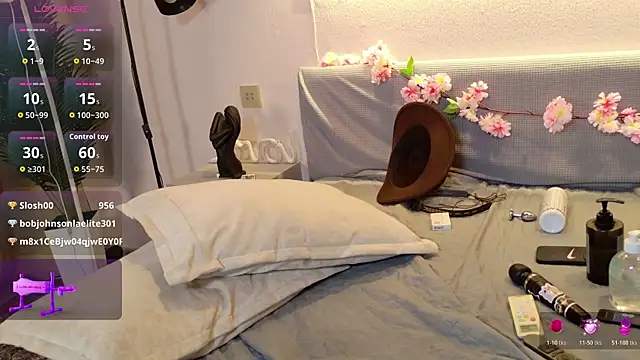 Nicolle_moors webcam