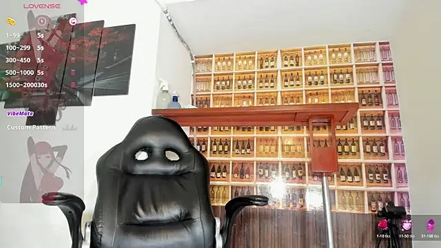 _Shirley_ webcam