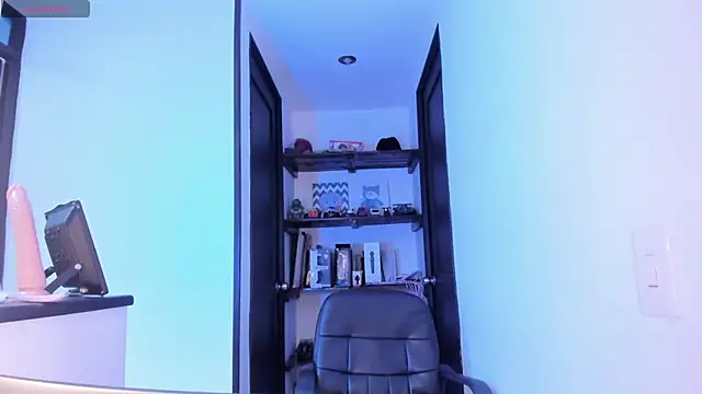 DollInk_ webcam