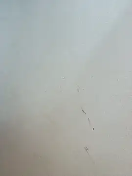 -Bitilu- webcam