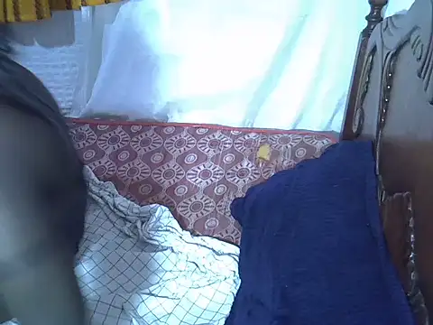 tashlin webcam