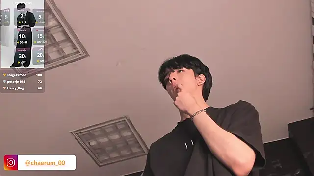 AerumChae webcam