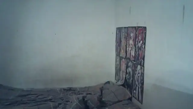 SinaPalmeter webcam