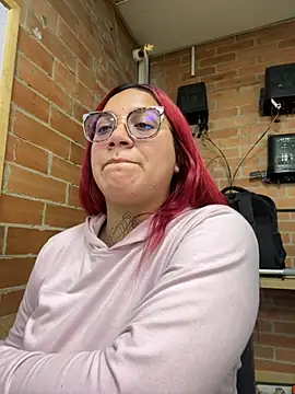 GEMMA2008 webcam
