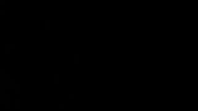 Heidix webcam