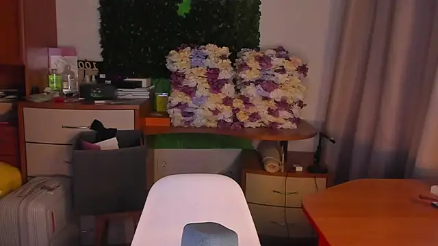 DoraCharmer webcam
