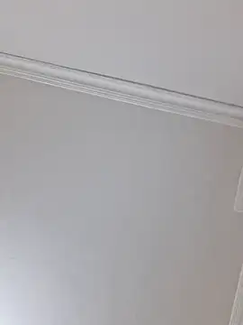 bisexsualman webcam