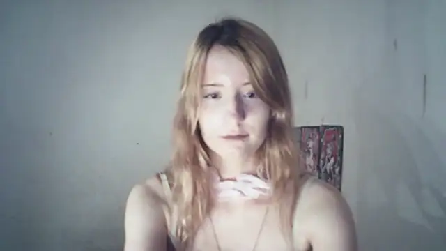 SinaPalmeter webcam