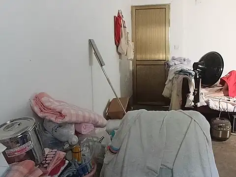 RebelAura webcam