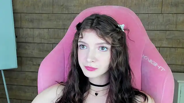 SophiaProve webcam