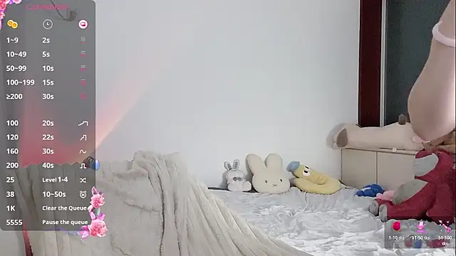 _flipped_ webcam