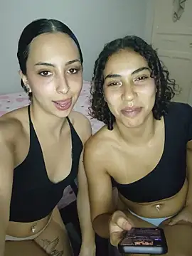 AsLince webcam