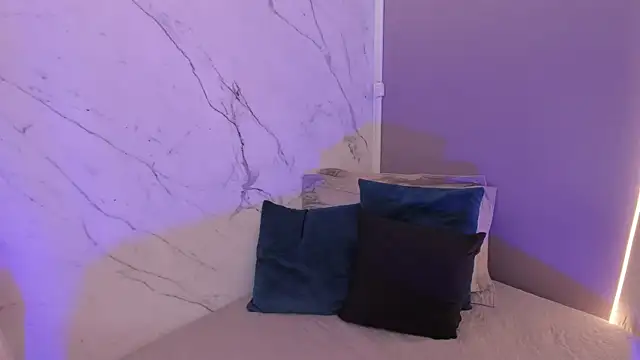 Veravantemp webcam