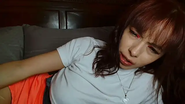 MINI_Petite webcam