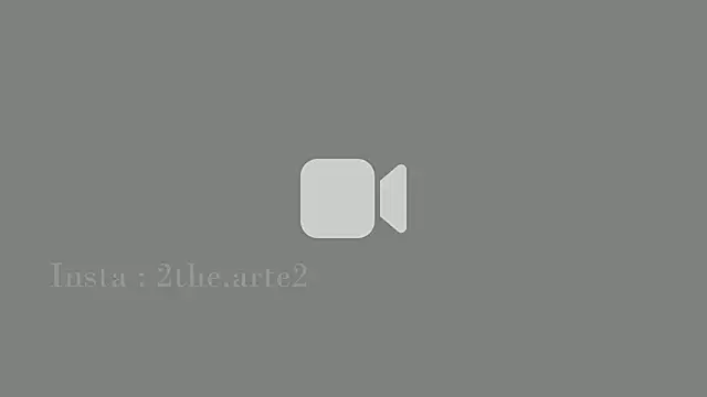 ___art webcam