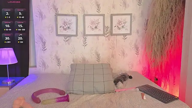 slim_tian webcam