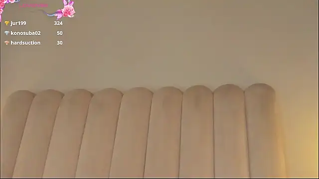 susan_beck webcam