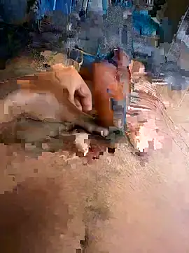 Jose_juan09 webcam