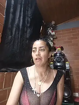 Alexandrina webcam