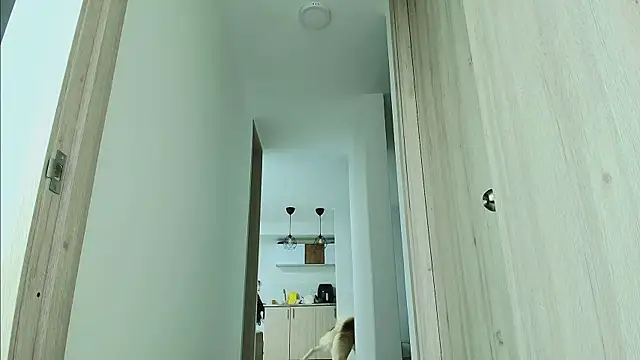 thomas_gun webcam