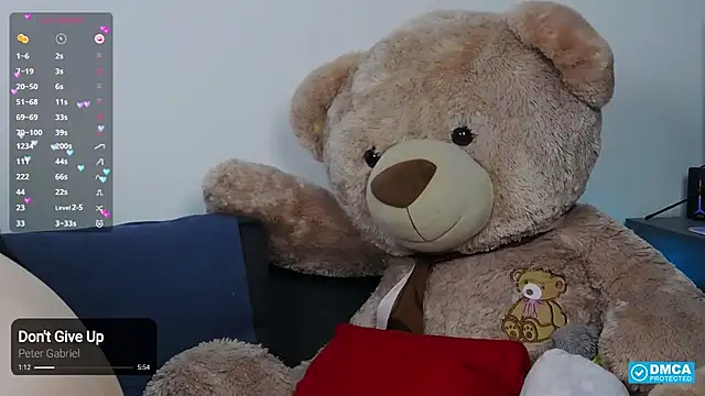 -Lorik- webcam