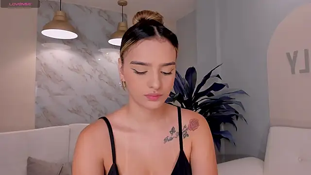 LaurentRosse1 webcam