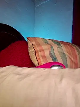_____sams webcam