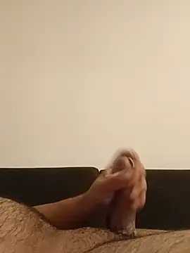 sertyarak6 webcam