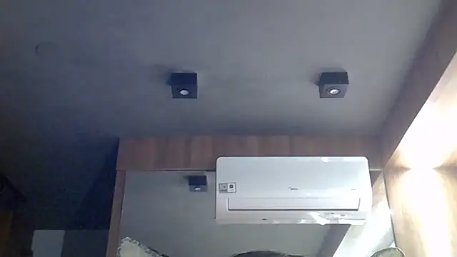 SkinnyKitten webcam