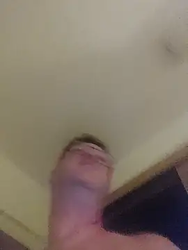slavedh webcam