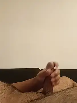 sertyarak6 webcam