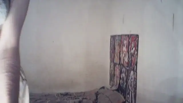 SinaPalmeter webcam