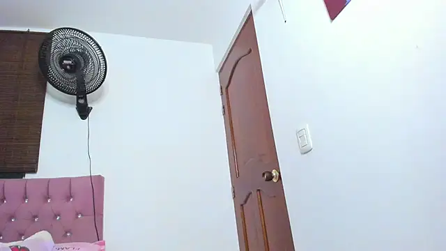 Ronnetemalbec webcam