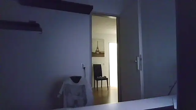 alpha-hunk webcam