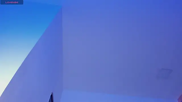 Sebax_Young webcam