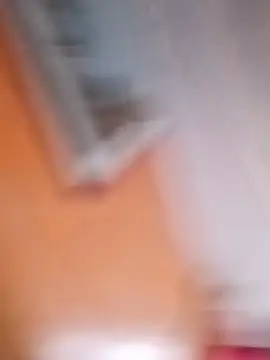 leon8013A webcam