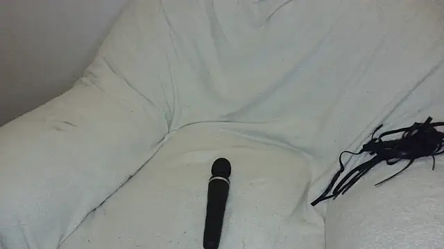 DWT_Lisa webcam