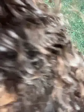 CurlyOopsieXXX Live Web Cam Show